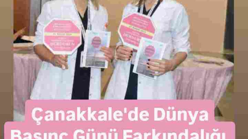 Çanakkale'de Dünya Basınç Günü 