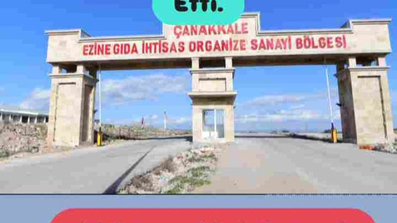 Veto Edilen Listeyi Kim Yazdı?