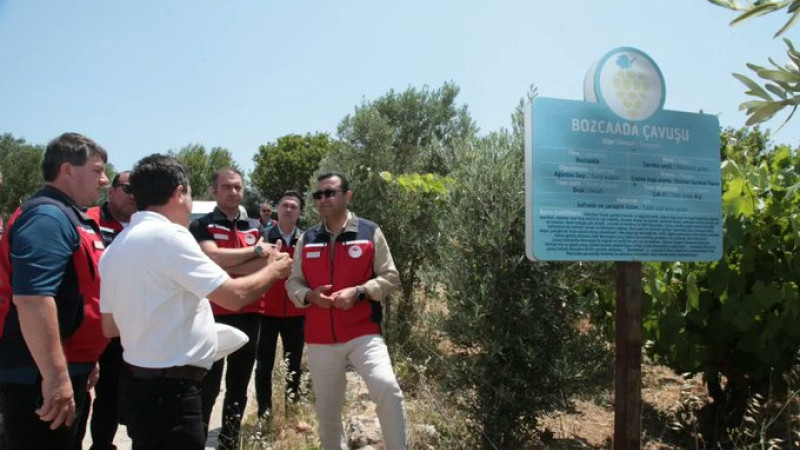 Çanakkale İl Tarım ve Orman Müdürü'nden Bozcaada'ya ziyaret 