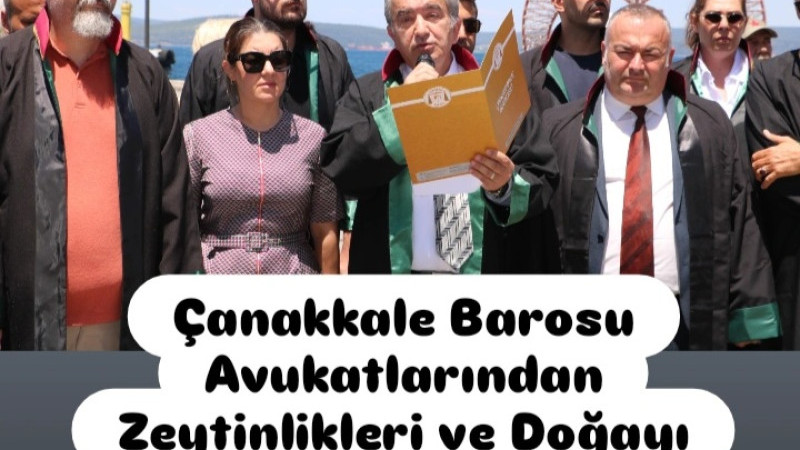 Çanakkale Barosu: Zeytinlikler bir imza ile maden sahasına dönüşebilir