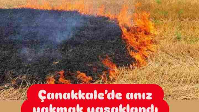 Çanakkale’de anız yakmak yasaklandı
