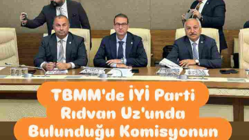 Rıdvan Uz, TBMM'de Komisyon Seçimlerinde 