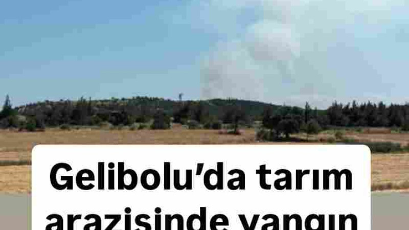 Gelibolu’da Tarım Arazisinde Yangın 