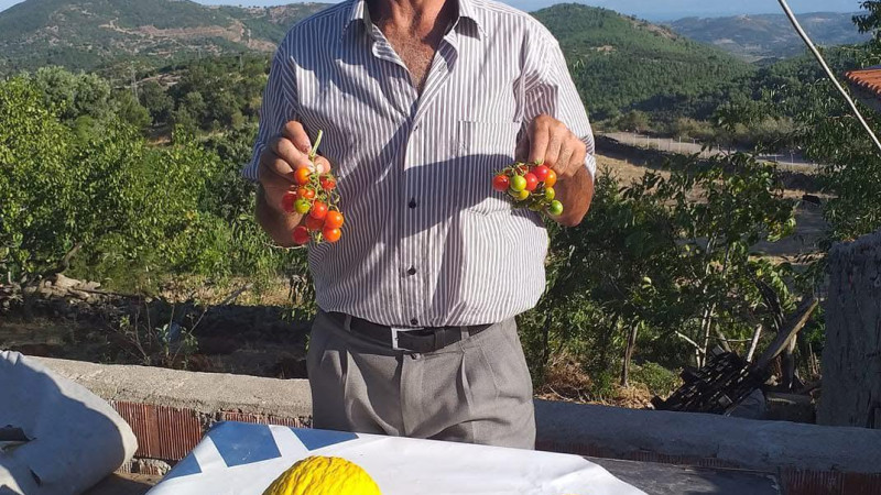 Ayvacık Kulfat Köyü'nün Muhtarı Ölü Bulundu