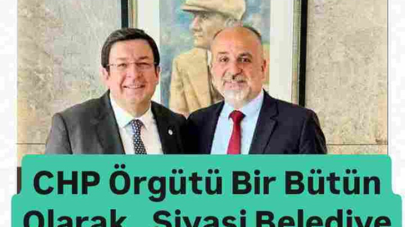 Örgütün Direk Temsilcisi 