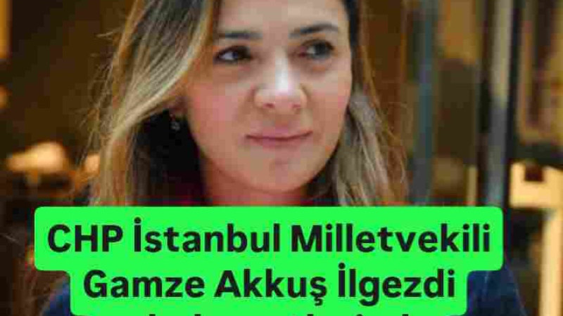 CHP İstanbul Milletvekili Gamze Akkuş İlgezdi Çanakkale'de Trafik Kazası Geçirdi 