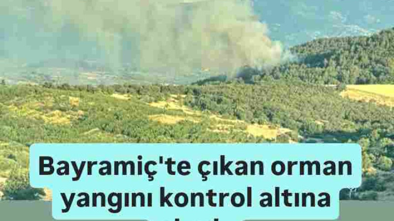Bayramiç'te ki Orman Yangını Kontrol Altına Alındı 