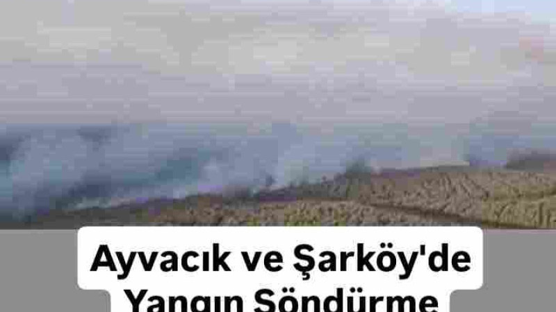 Ayvacık ve Şarköy'de Yangın Söndürme Çalışmaları 