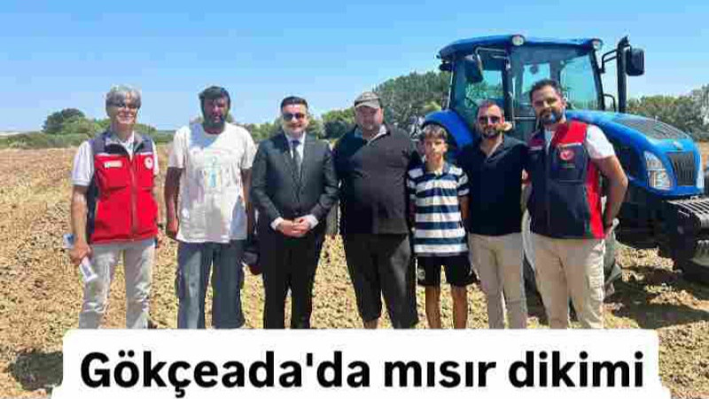 Gökçeada mısır dikimi ve yonca hasadı programı