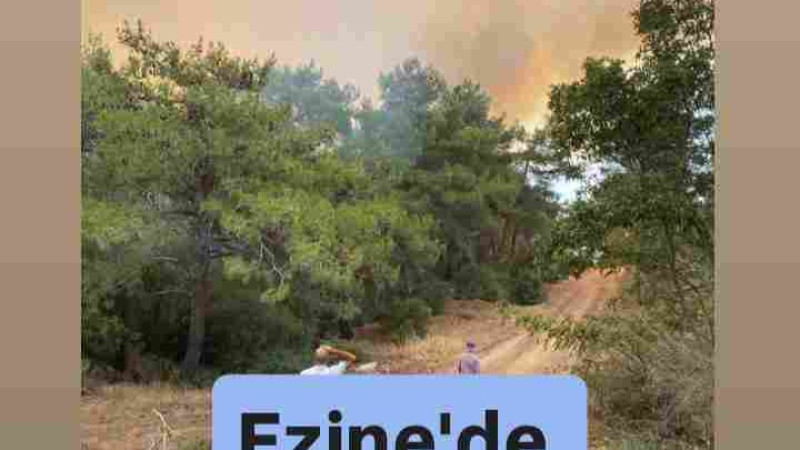 Ezine'de Orman Yangını 