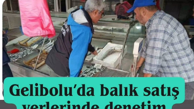 Gelibolu’da balık satış yerlerinde denetim