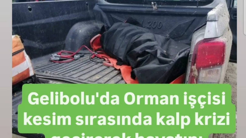 Gelibolu'da Orman işçisi kesim sırasında kalp krizi geçirerek hayatını kaybetti