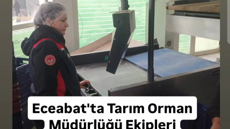 Eceabat'ta Denetimler Sürüyor