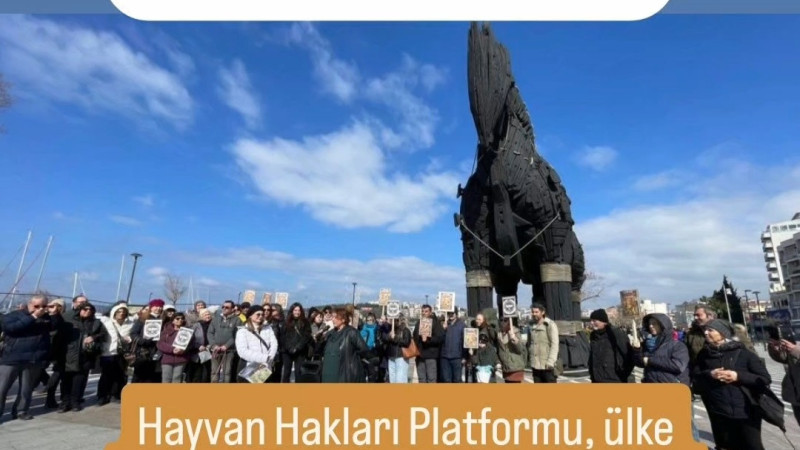 Hayvan Hakları İçin Çanakkale’de Eylem: “Zulme Razı Olmayacağız!”