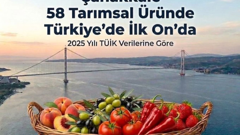 Çanakkale 58 Tarımsal Üründe Türkiye'de İlk On'da.