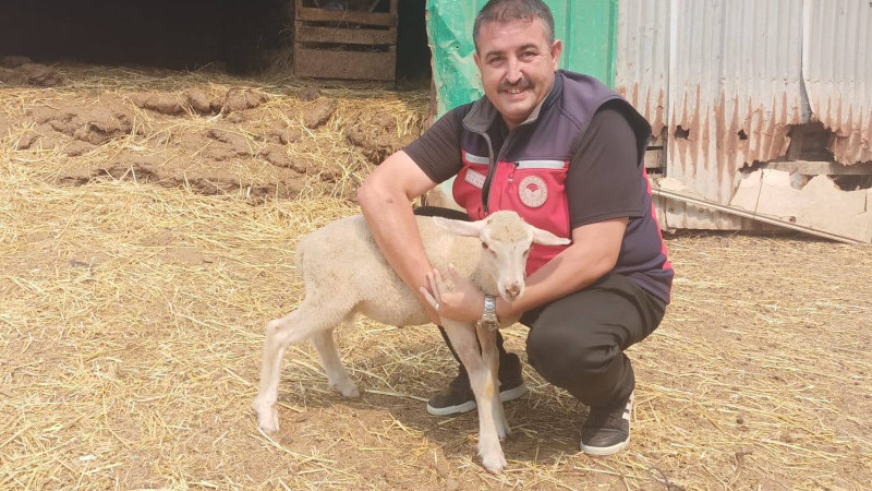Hayvancılık Destekleme Askı Listeleri İlana Çıktı: Son Gün 24 Temmuz