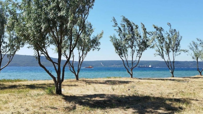 Kepez Plajında Yine Mühimmat Bulundu