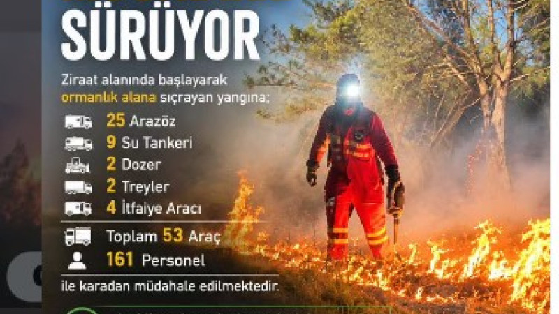Ezine Gökçebayır'da ki Yangın Kontrol Altında