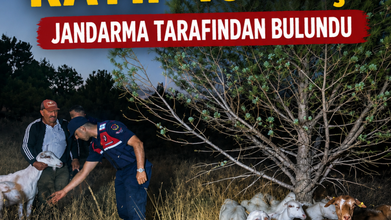  Bayramiç'te kaybolan 15 küçükbaş hayvanı sahibine teslim etti