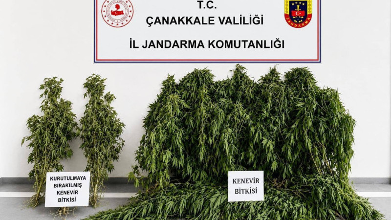Çanakkale’de Jandarmadan Dev Uyuşturucu Operasyonu: 5 Tutuklama