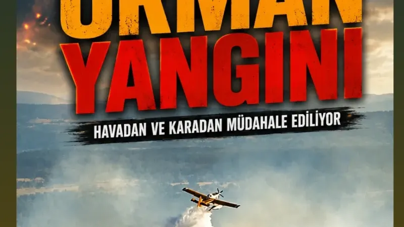 Bayramiç'teki Orman Yangını Büyük Ölçüde Kontrol Altında
