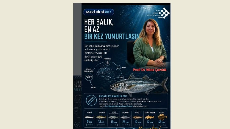 Prof. Dr. Mine Çardak, Denizlerimiz gelecek nesillerimizdir, koruyalım