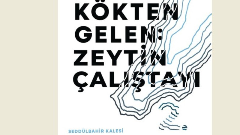 Gelenekselleşecek Zeytin Buluşması Başlıyor