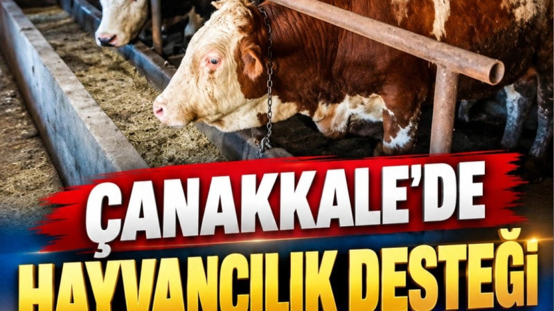 Çanakkale'de Hayvancılık Desteği Başvuruları Başladı!